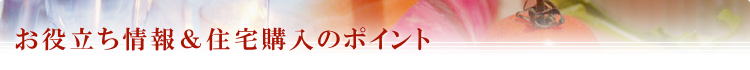 お役立ち情報 & 住宅購入のポイント